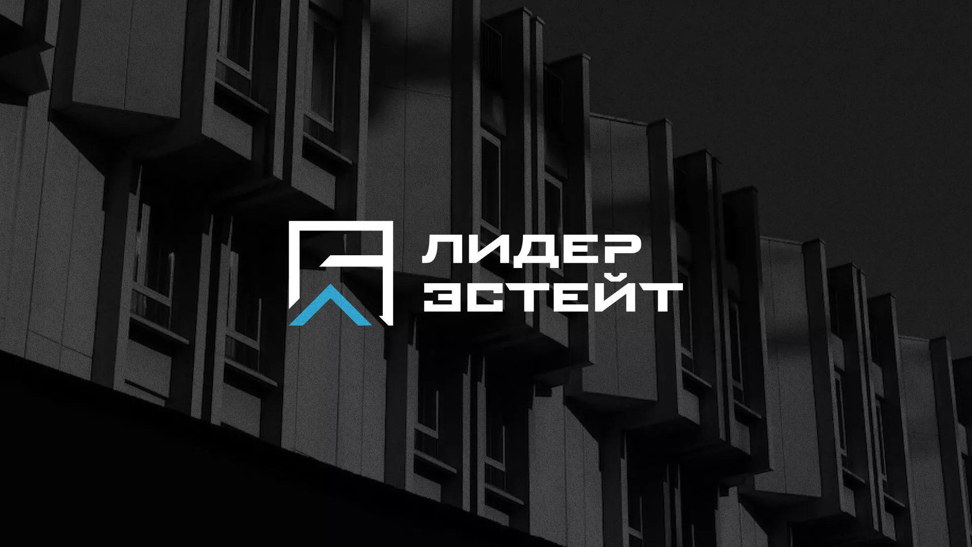 Разработка логотипа агентства недвижимости «Лидер Эстейт» в Полысаево